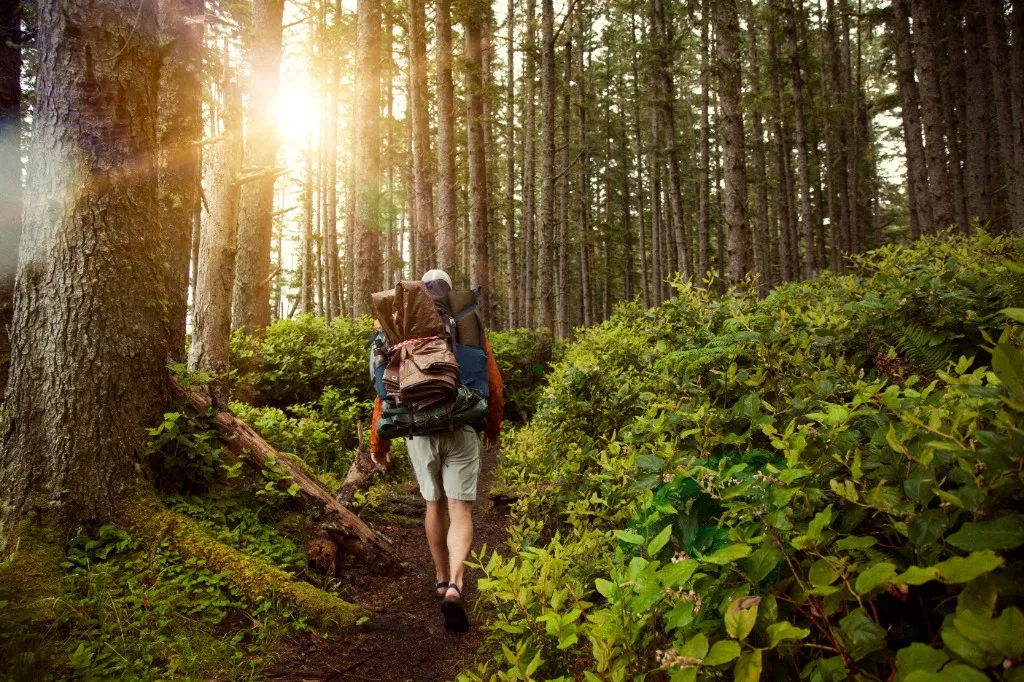 Hiker with backpack walking through a sunlit forest trail